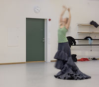 Daloc lyddør brukt ved dansehøgskolen